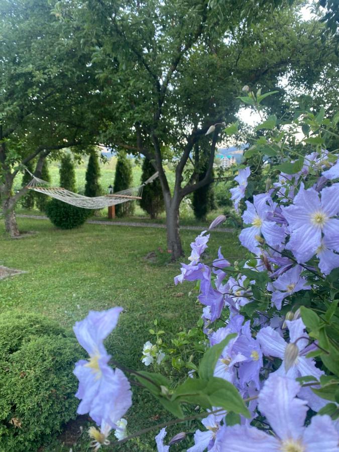 Blue Village Lux Kolašin Eksteriør bilde
